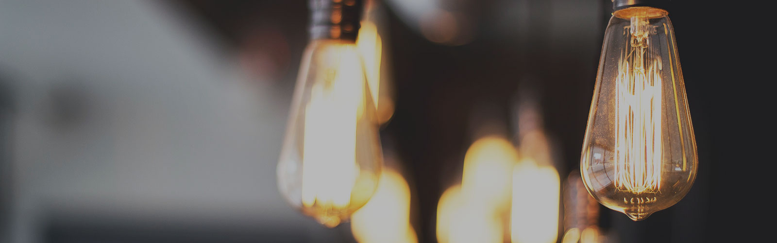 Light-bulb Image for Blacklight Software Expertise 